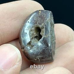 Ancient Roman Rare Stone Animal Intaglio Bead