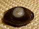 Beautiful Rare Ancient Tibetan Agate Stone Bead With Eyes / Stripes / Bands- Dzi