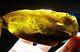 Genuine Amber Raw Amber Stone Natural Baltic Amber Rare Stone 49.55gr. N-29