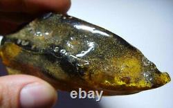 Genuine Amber Raw amber stone Natural Baltic amber rare stone 49.55gr. N-29