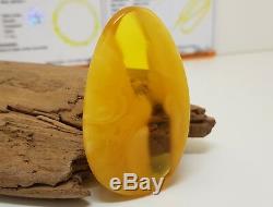 Pendant Stone Amber Natural Baltic White Vintage 16,1g Rare Sea Old Beauty F-784
