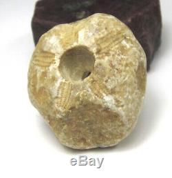 RARE MAGNIFICENT ANCIENT NEOLITHIC FOSSILIZED STONE MALI BEAD 13mm x 25mm