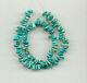 Rare Nevada Fox Mine Turquoise 7-10mm Long Petal Beads 16 Strand 699d