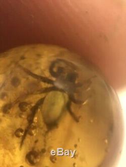 RARE SPIDER Natural old Baltic amber stone sphere