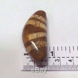 Rare Antique Ancient dZi-Bead Tibet Agate Stone Amulet Goodluck collectible gift