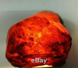 Rare Antique Vintage Beautiful Red Natural Baltic Amber Stone Butterscotch 44 g
