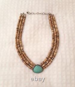 Rare Carolyn Pollack 925 Sterling Silver Agate And Turquoise Necklace
