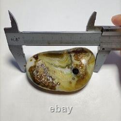 Rare China Inner Mongolia Gobi Eye Agate Stone 100% Natural Designer