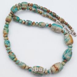 Rare Fox Mine Turquoise Mixed Shape Bench Bead Necklace Sterling Southwest