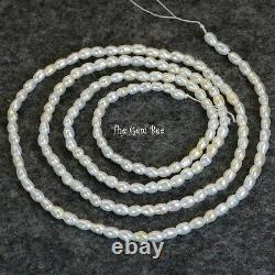 Rare Japanese Akoya White Saltwater Keishi Rice Pearl Nugget Bead 19.3 Strand