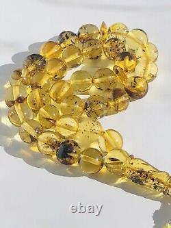Rare Lithuania STONE Natural Muddy Baltic Amber Prayer Beads 50gr