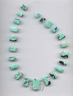 Rare Nacozari Turquoise Oblong Shape Drop Beads 1686c