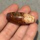 Rare Ancient Central Asian Bactrain Bead