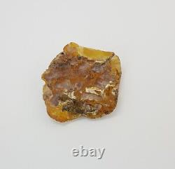 Stone Raw Amber Natural Baltic Bead 141,3g Sea Old Vintage White Rare Q-070