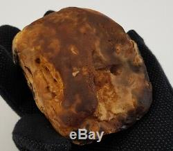 Stone Raw Amber Natural Baltic White Vintage Old Special Sea 278g Rare A-316