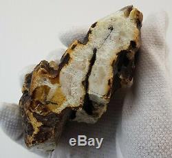 Stone Raw Natural Amber Baltic 255,1g Huge Special Rare Vintage Old White E-216