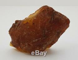 Stone Raw Rare Huge Big White Special 207g Natural Baltic Amber Vintage NO. 136