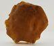 Stone Raw Rare Huge Big White Special 375g Natural Baltic Amber Vintage No. 132