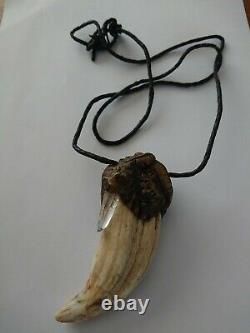 Taxidermy Rare Old Wild Boar Tusk Mounted With Precious Stones Necklace