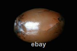 Very Rare! 2000 Y/O Indus Valley Agate Bead Pakistan-16x11 mm B109