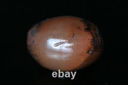 Very Rare! 2000 Y/O Indus Valley Agate Bead Pakistan-16x11 mm B109