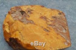Very Rare Old Vintage Beautiful Natural Baltic Amber Stone Tiger Egg Yolk 250 gr