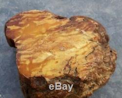 Very Rare Old Vintage Beautiful Natural Baltic Amber Stone Tiger Egg Yolk 270 gr